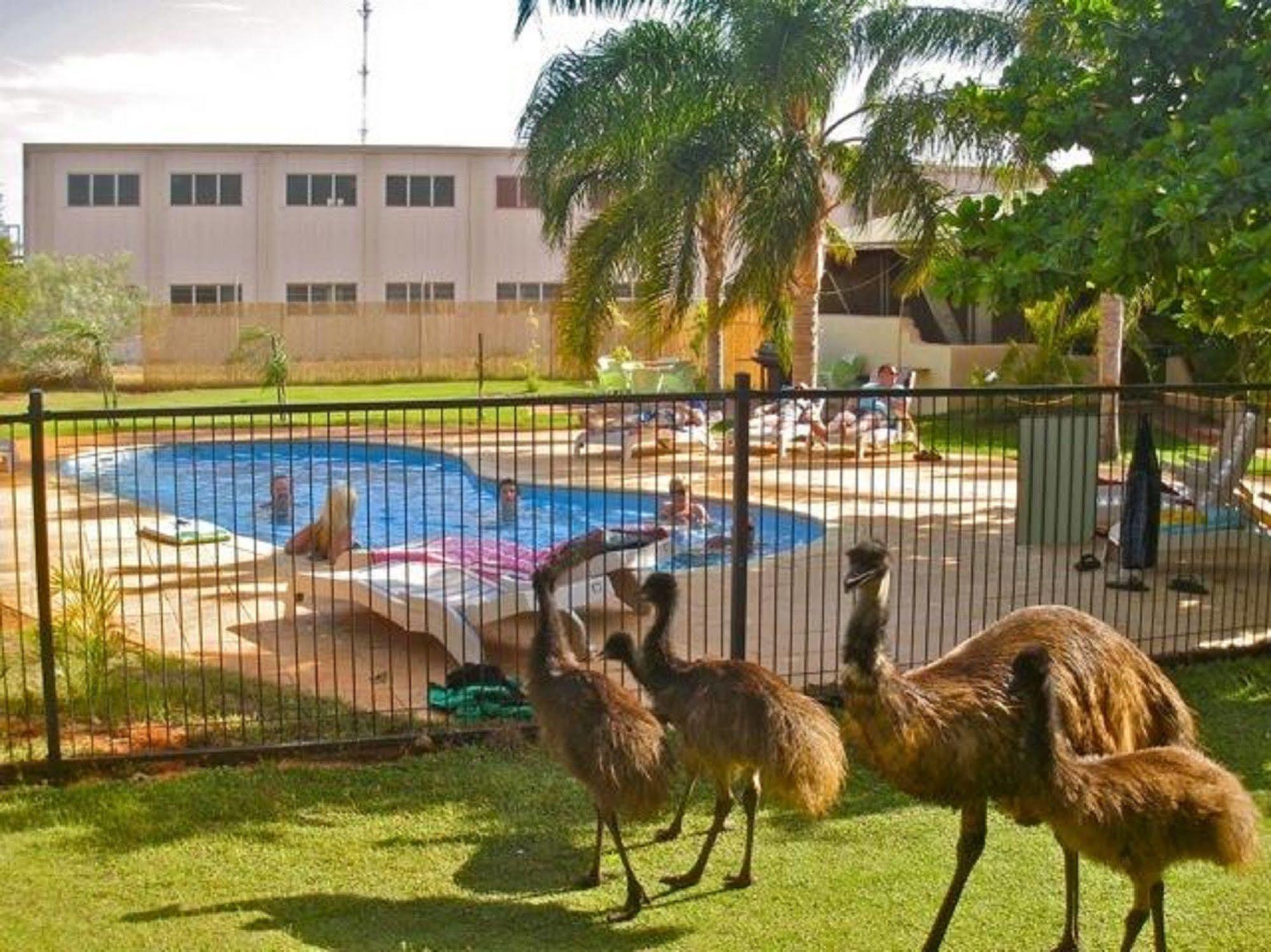 Sea Breeze Resort Exmouth Konforlar fotoğraf